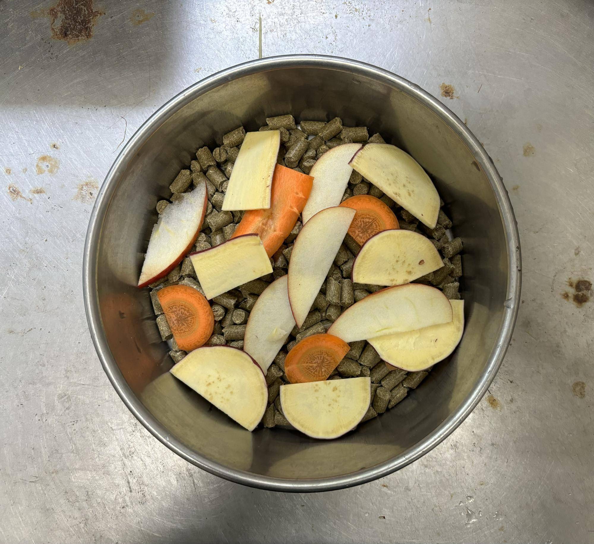 スペシャルご飯.jpg