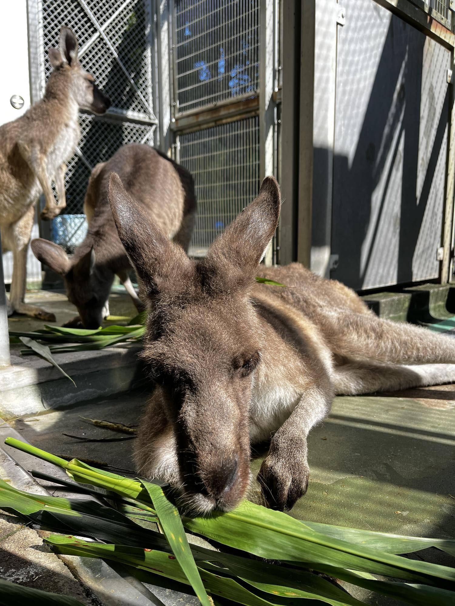 キノコと新しいグループ (5).jpg