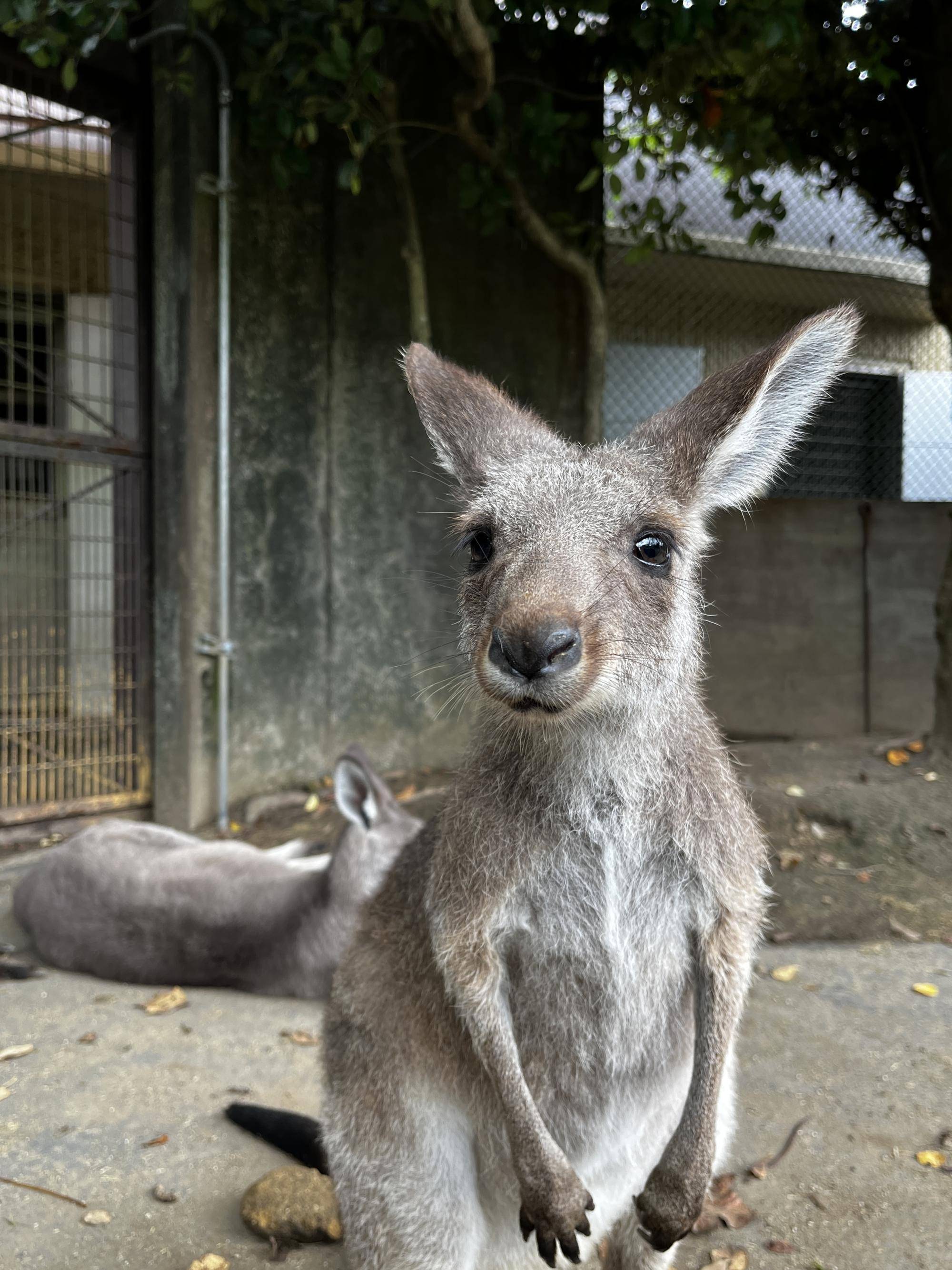 イジュ0929 (3).jpg