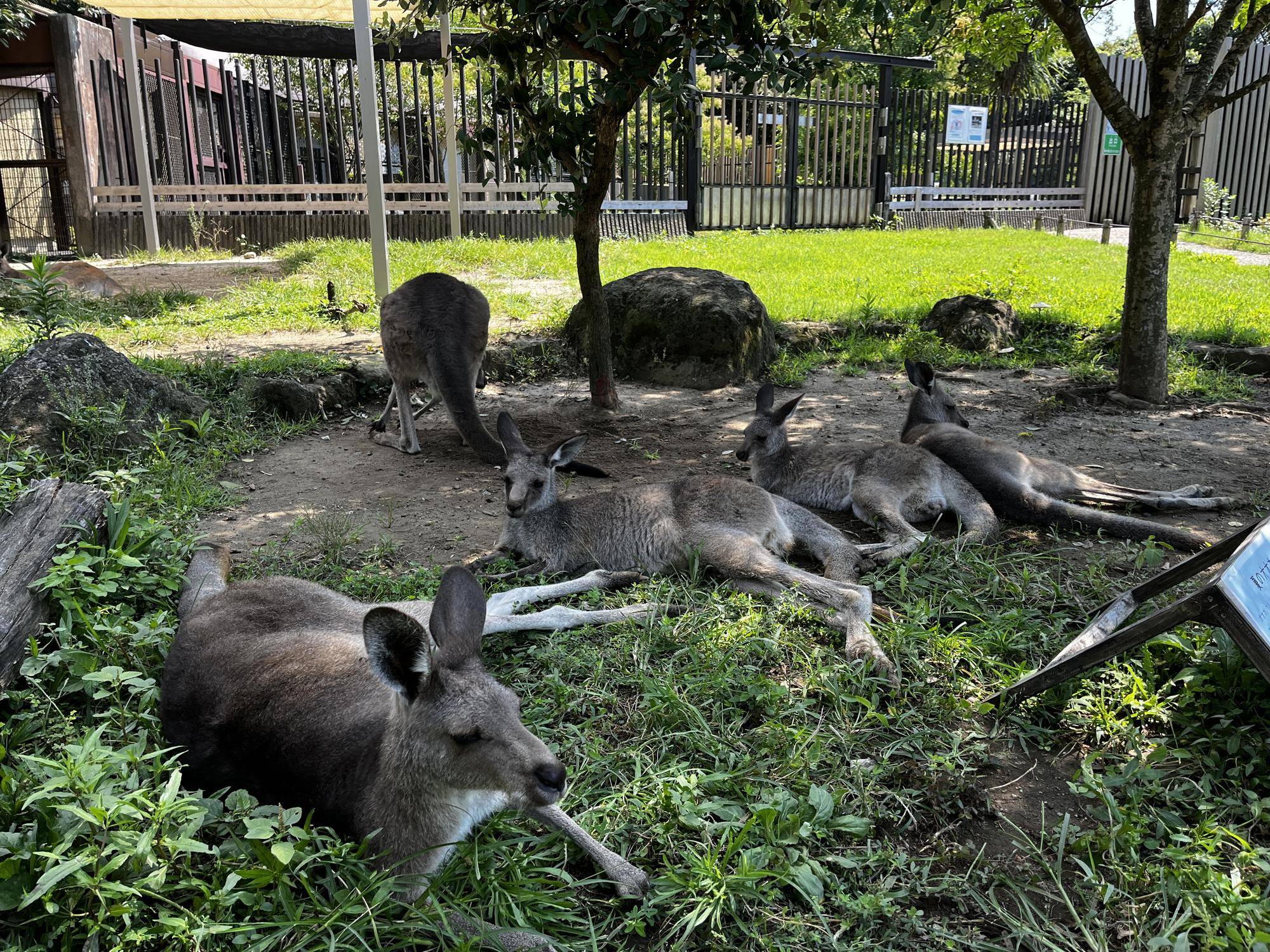 イチゴパンとこどもたち (1).jpg