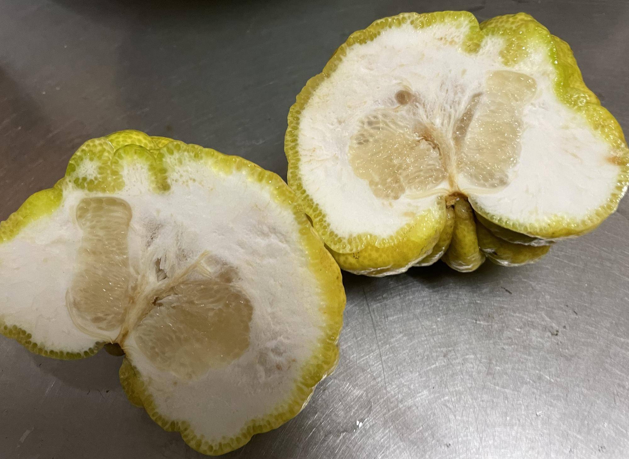 鬼ゆず断面図 kopi.jpeg