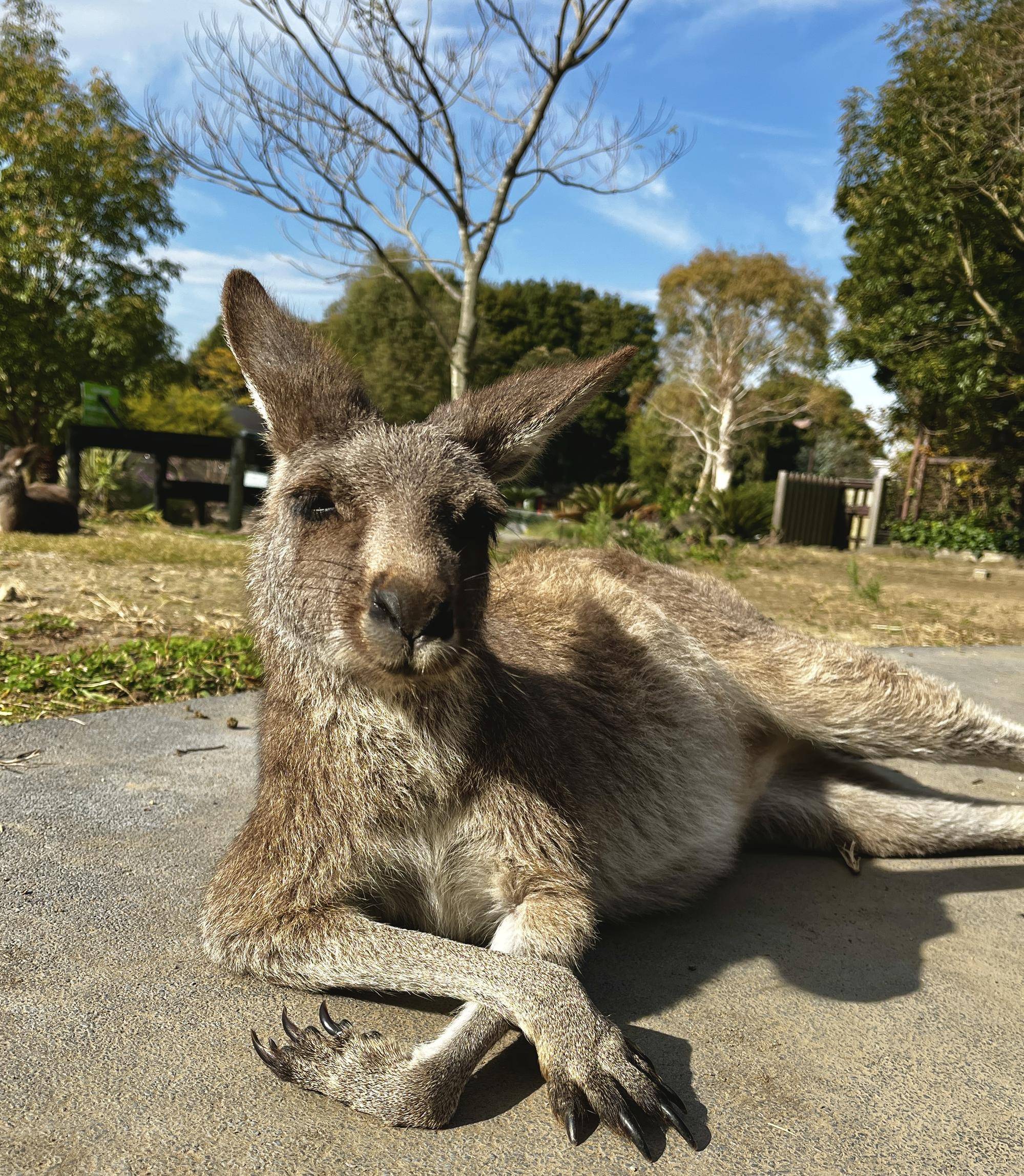 ウォークスルーにメス (1).jpg