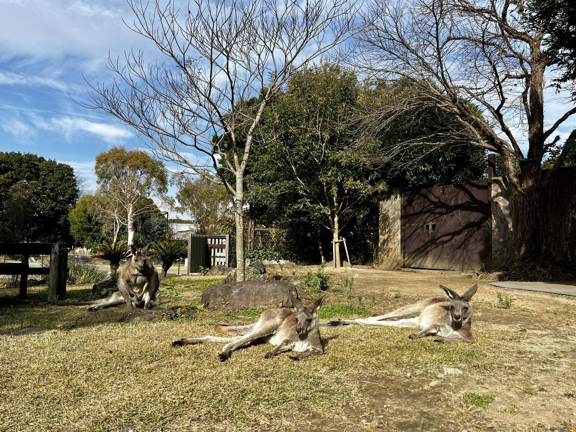 ウォークスルーにメス (2).jpg