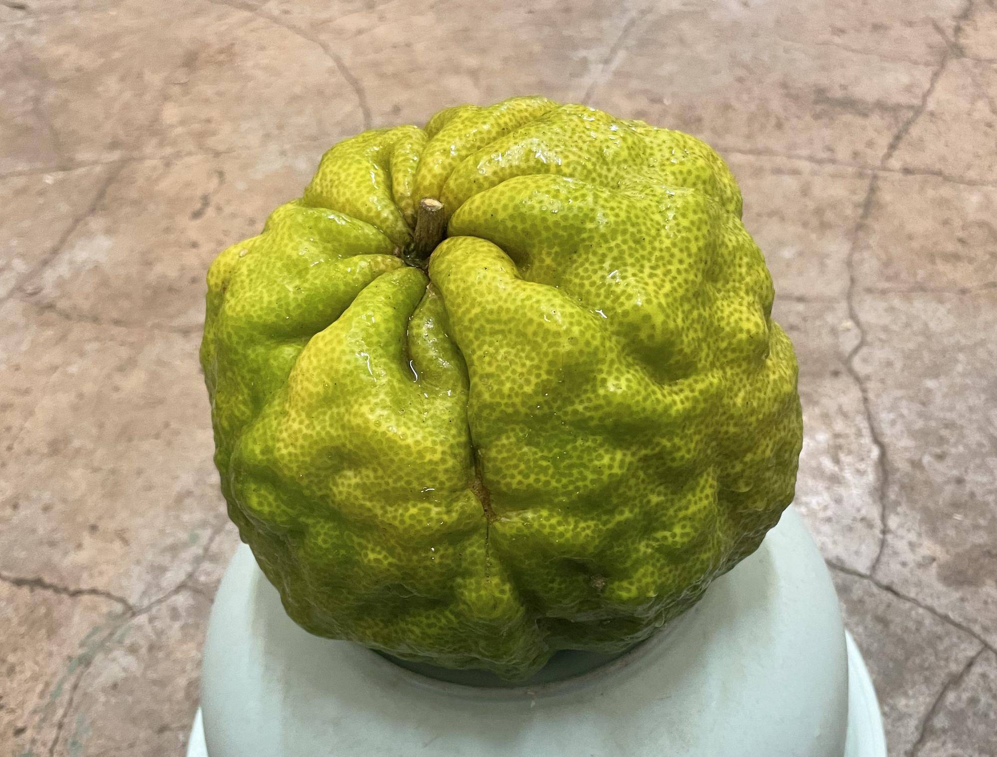 1個でも大迫力の鬼ゆず kopi.jpeg