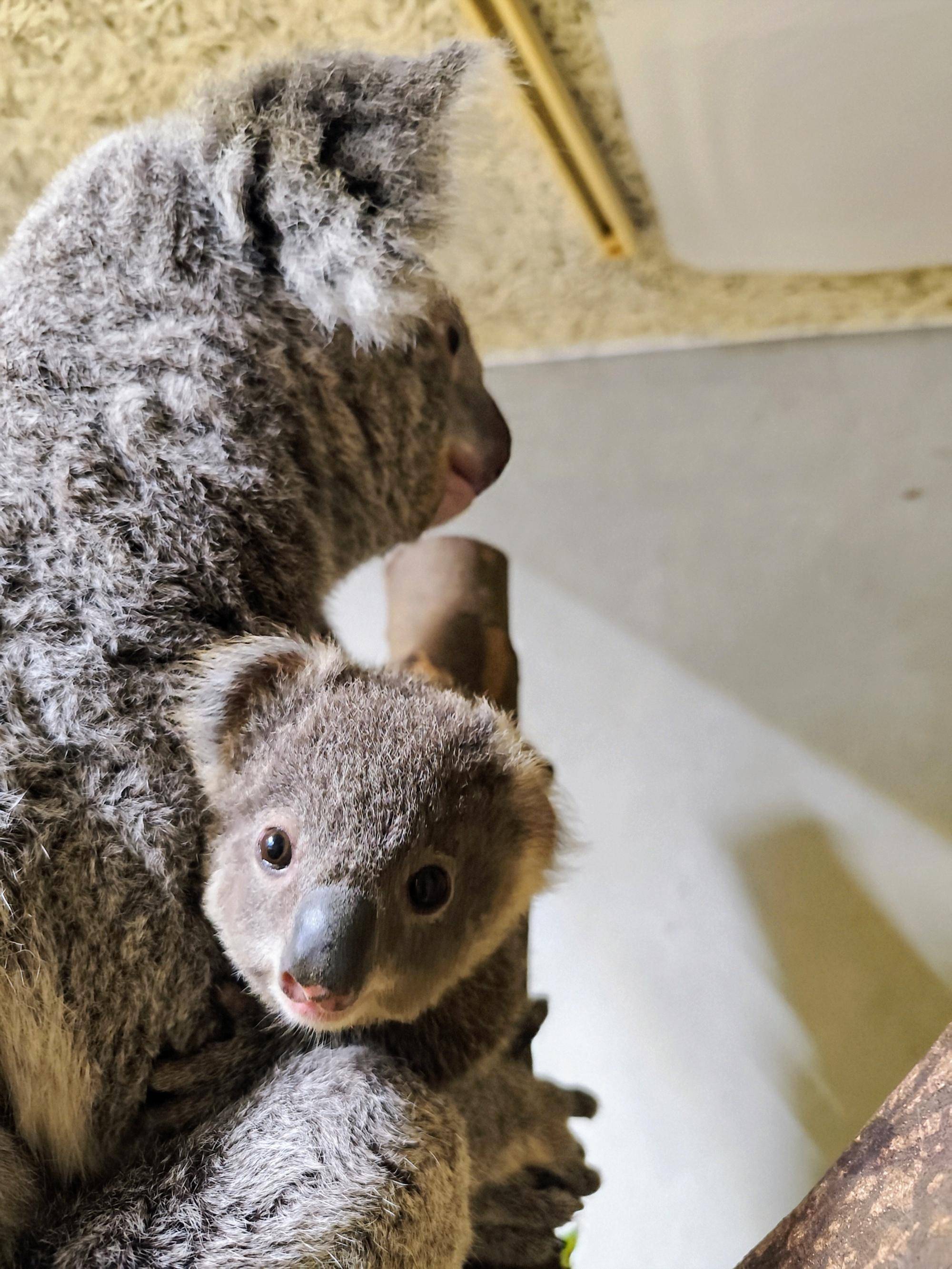 IMG_20250110_112603~2 (002).jpg