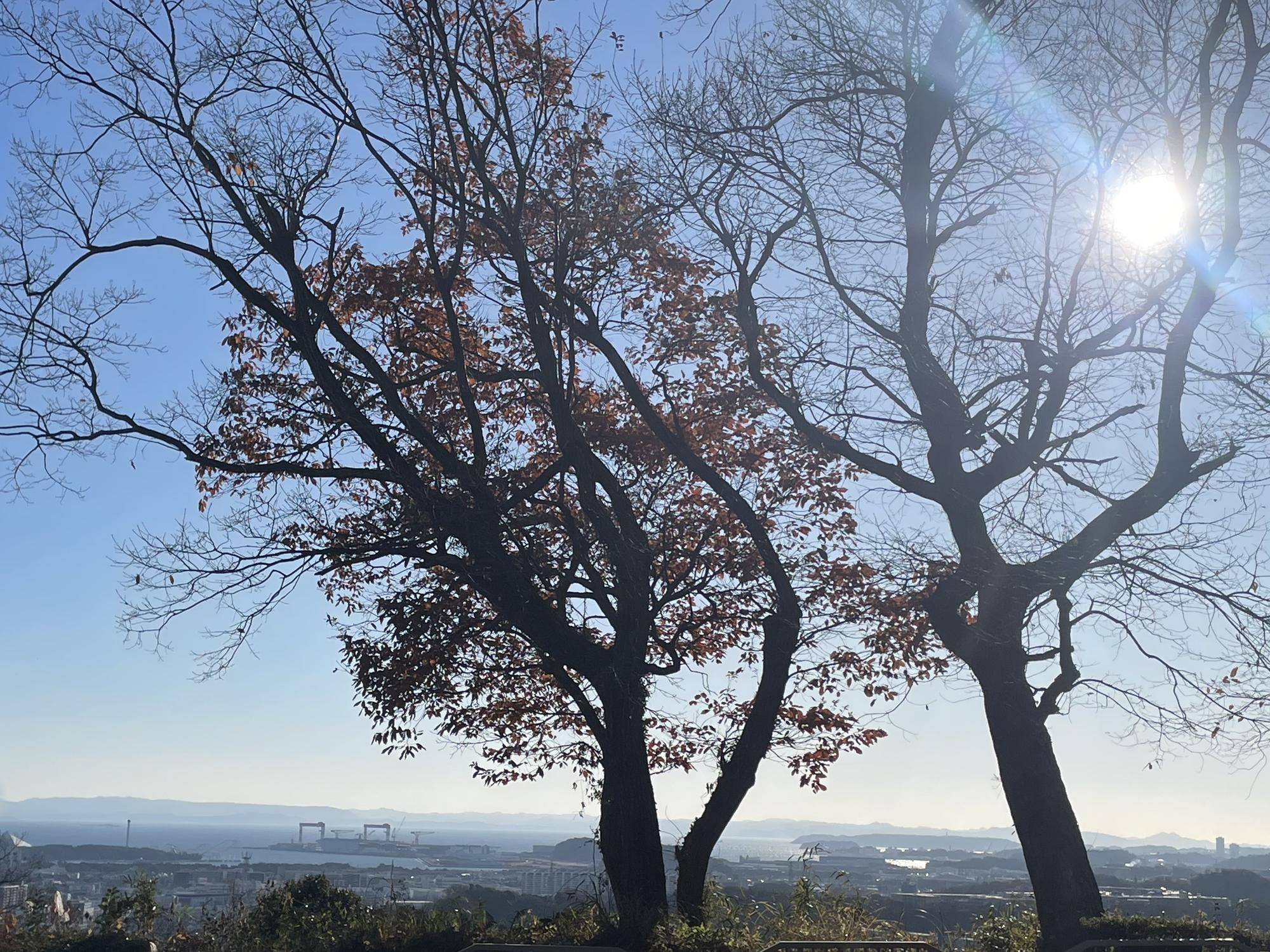 2025年1月1日の景色 kopi.jpeg