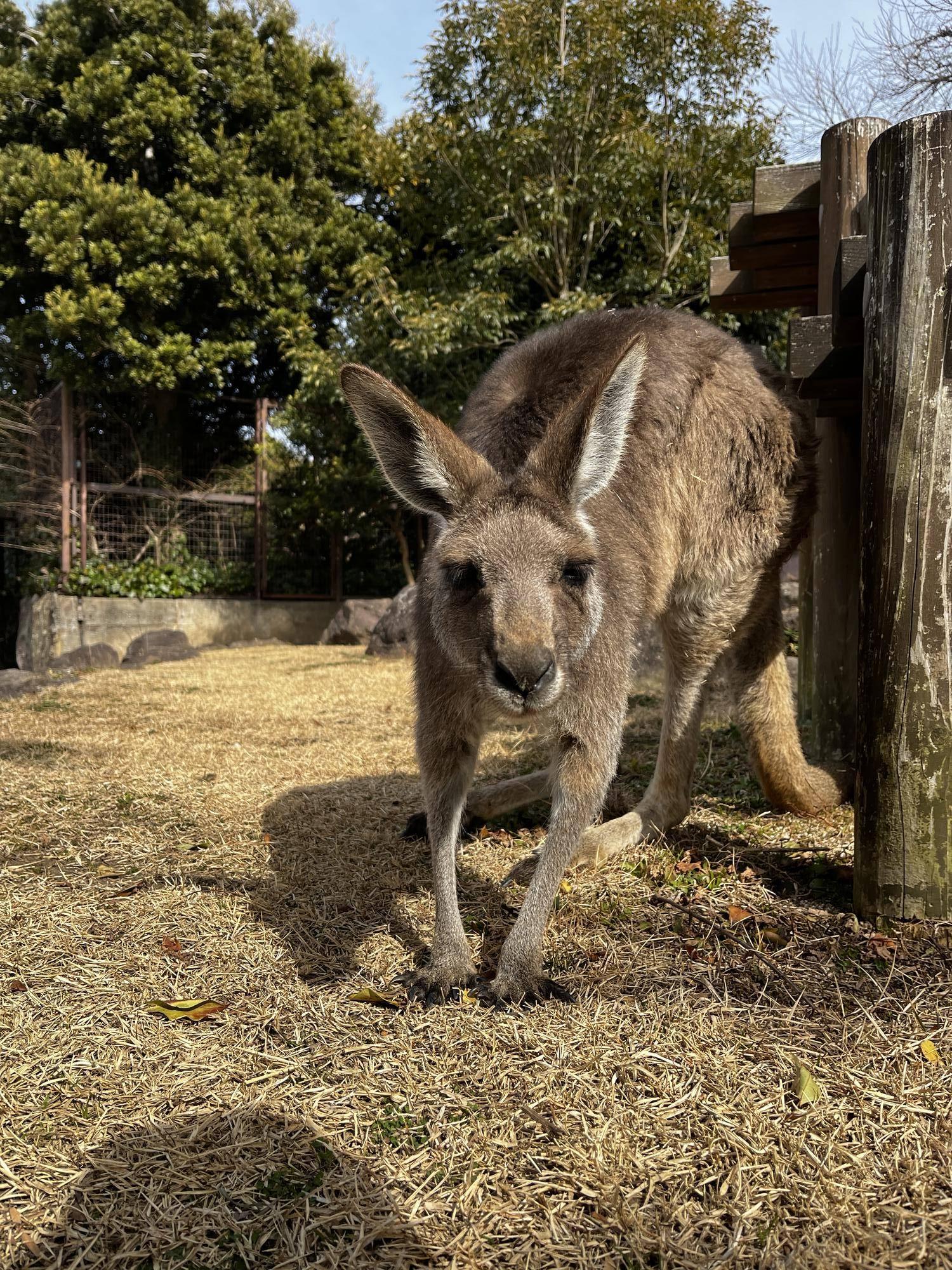 ピョンチャン (2).jpg