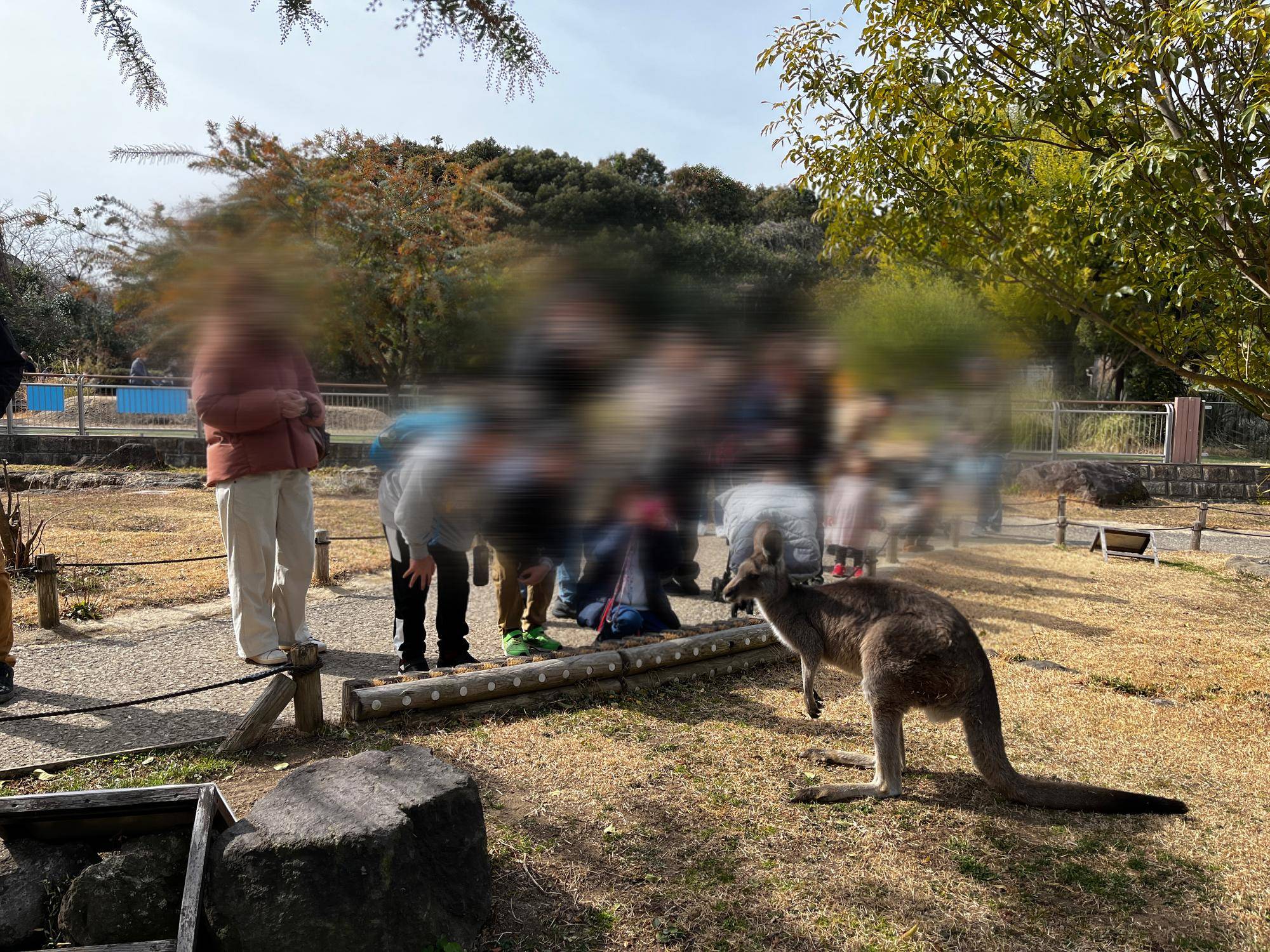 ピョンチャン (6).jpg