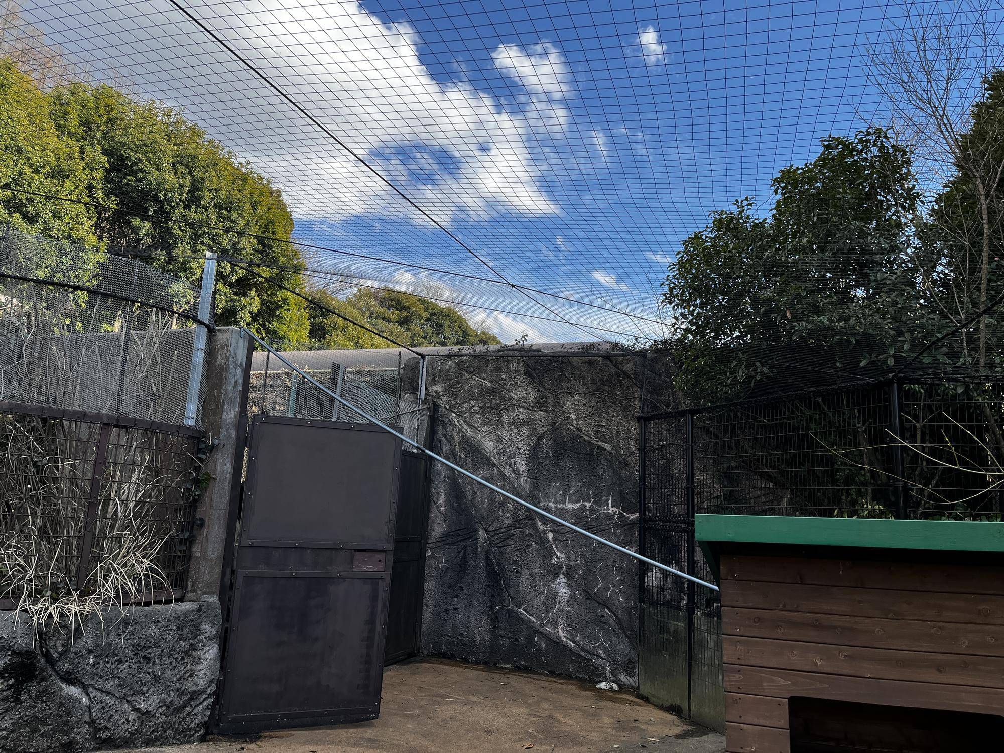 防鳥ネット (3).jpg