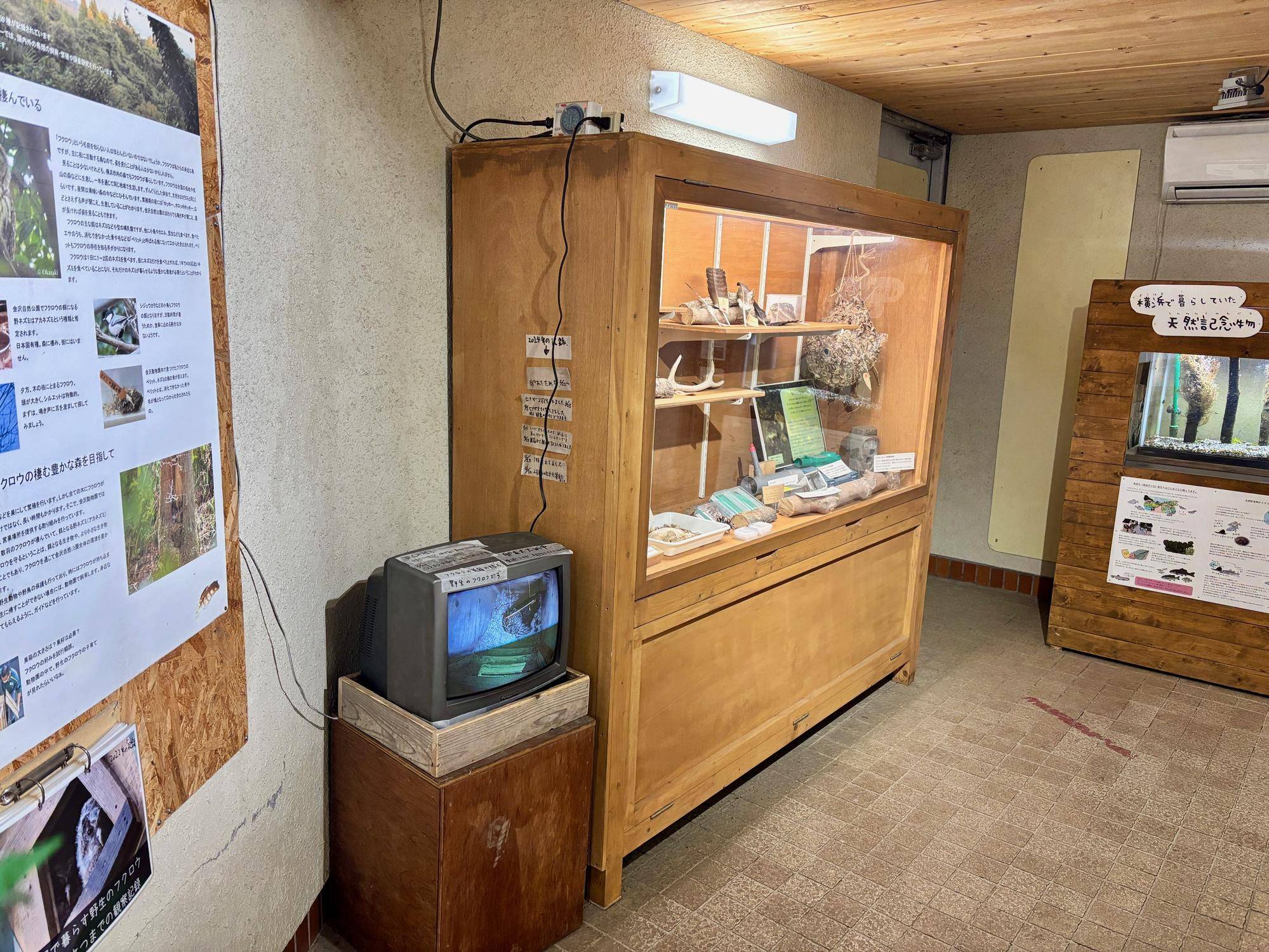 いきもの通路.jpeg