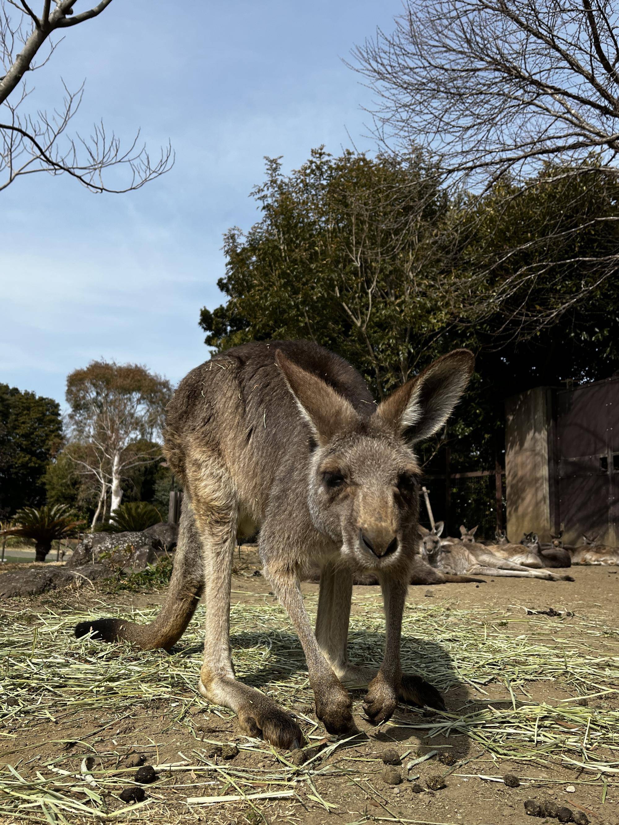 ドリーム (2).jpg