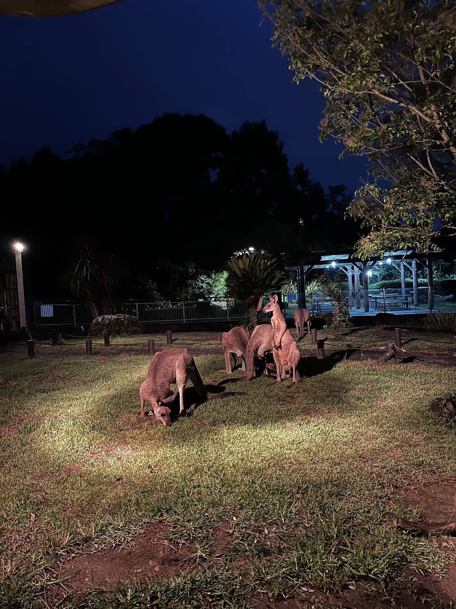 ルトル展示初日 (5).jpg