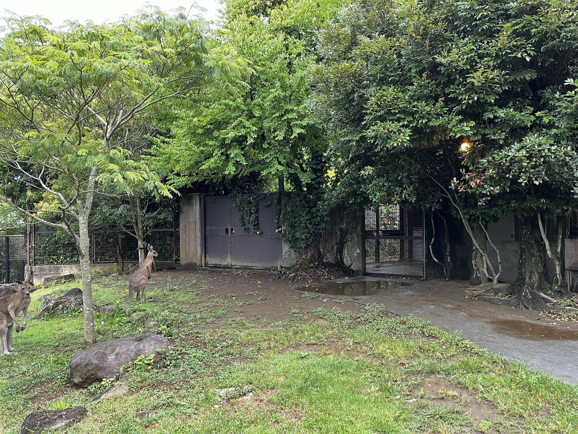 ルトル展示初日 (1).jpg