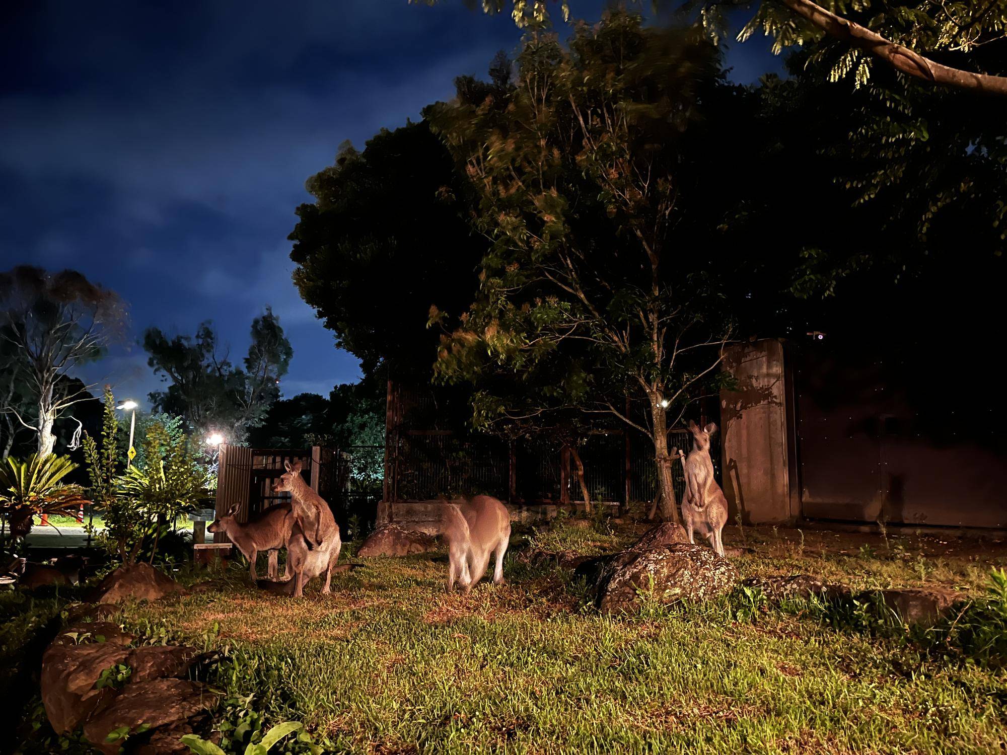 メス展示の日 (1).jpg