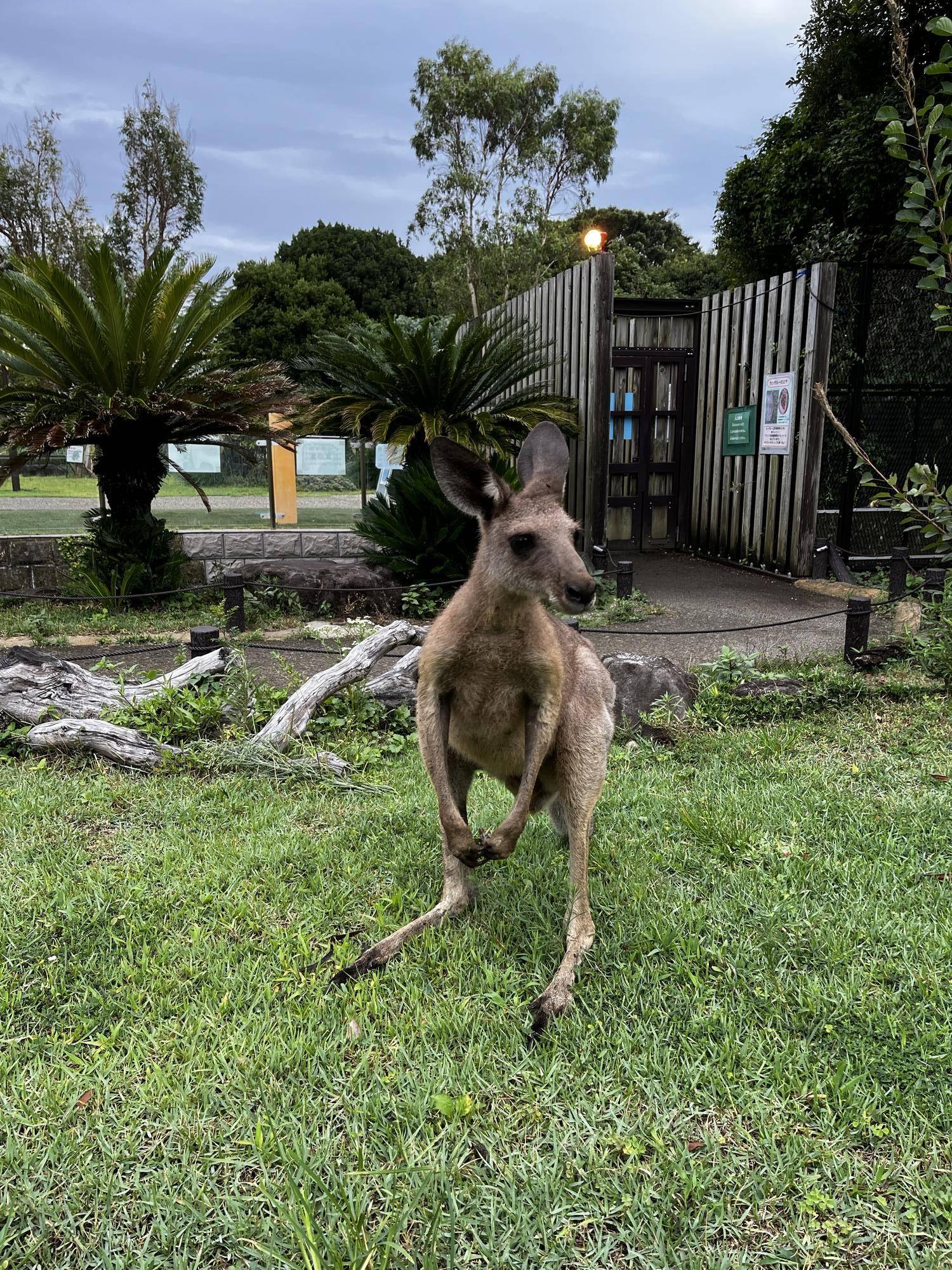 ルトル展示初日 (2).jpg