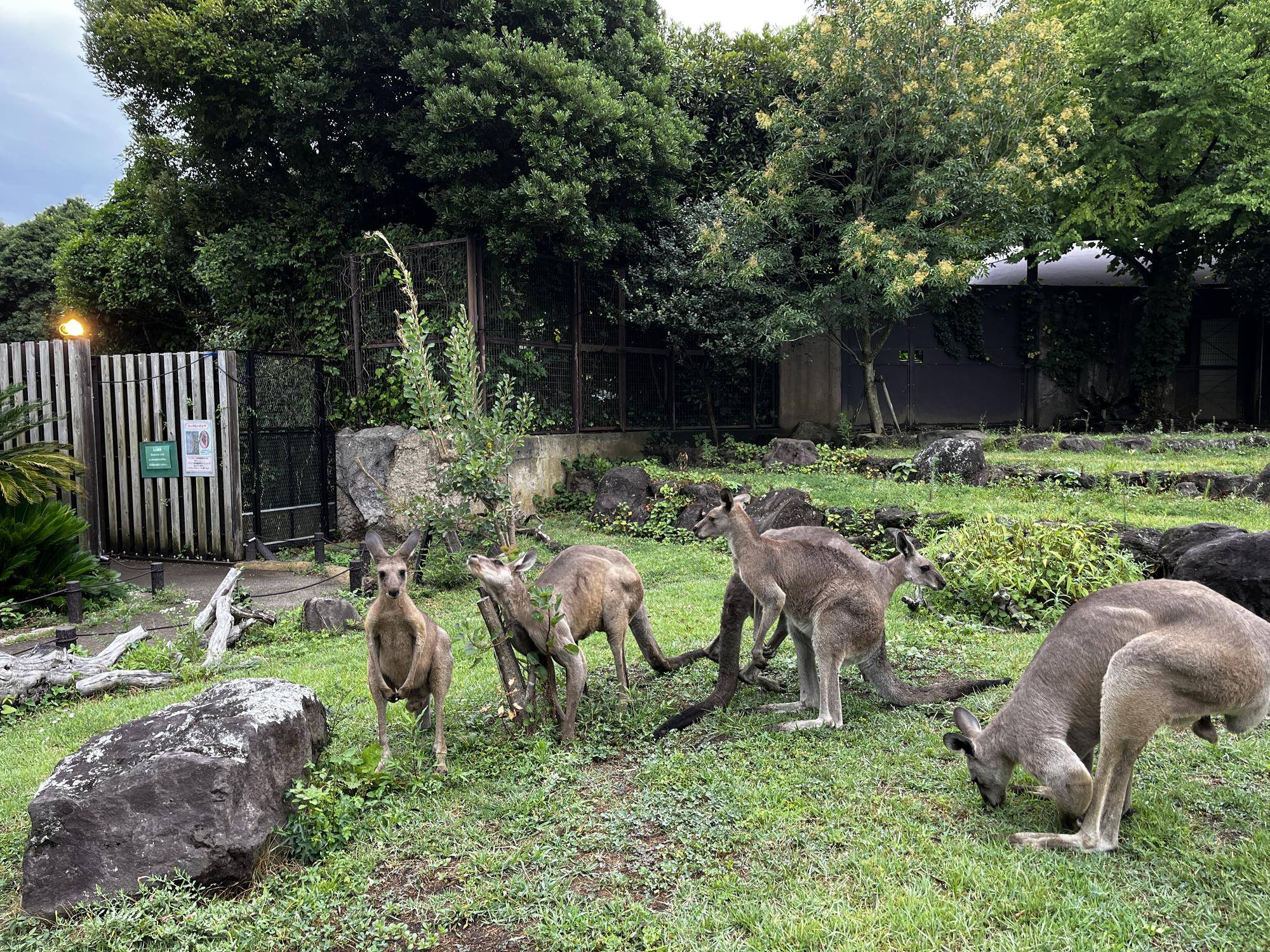 ルトル展示初日 (3).jpg