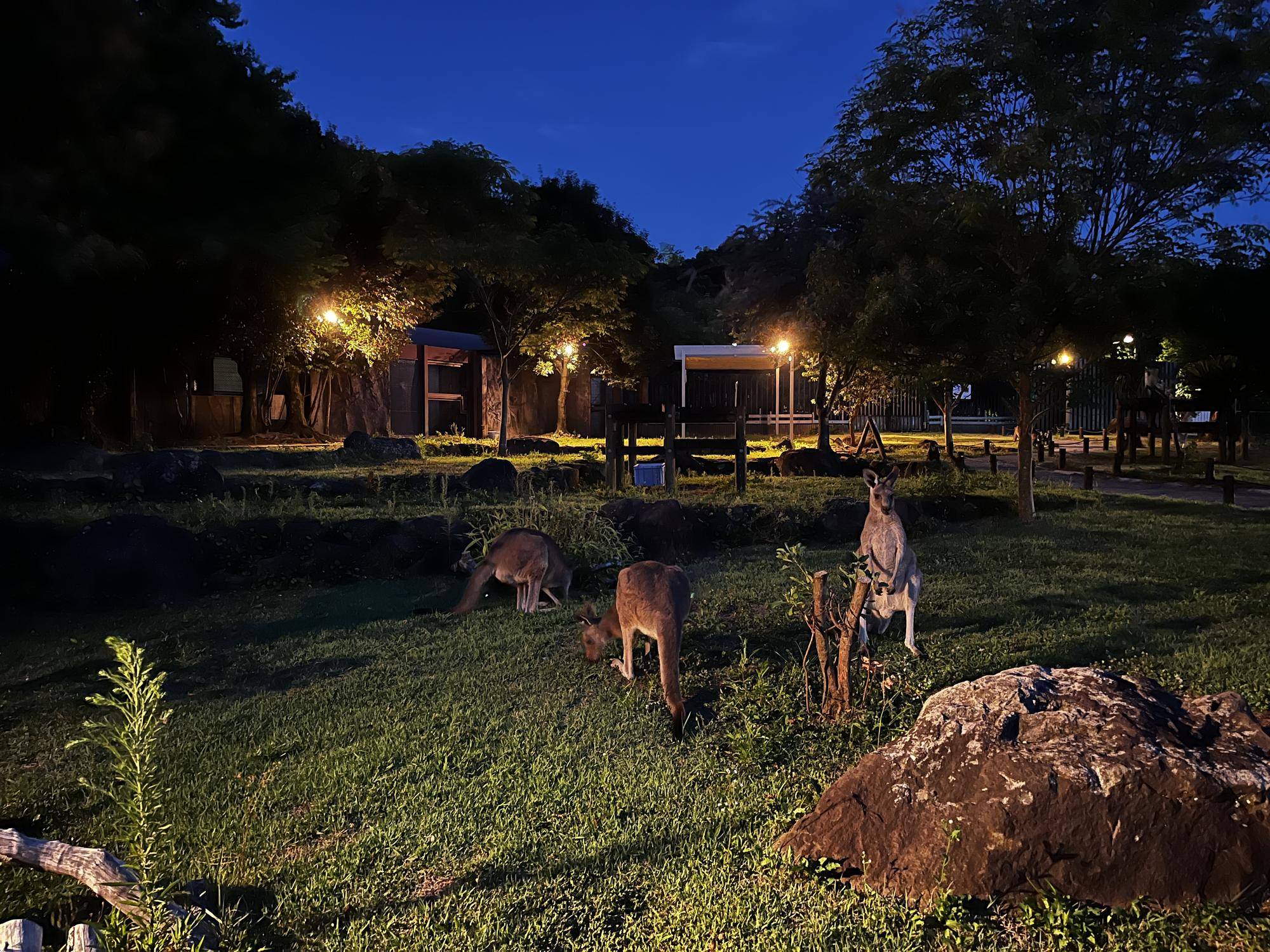 メス展示の日 (2).jpg