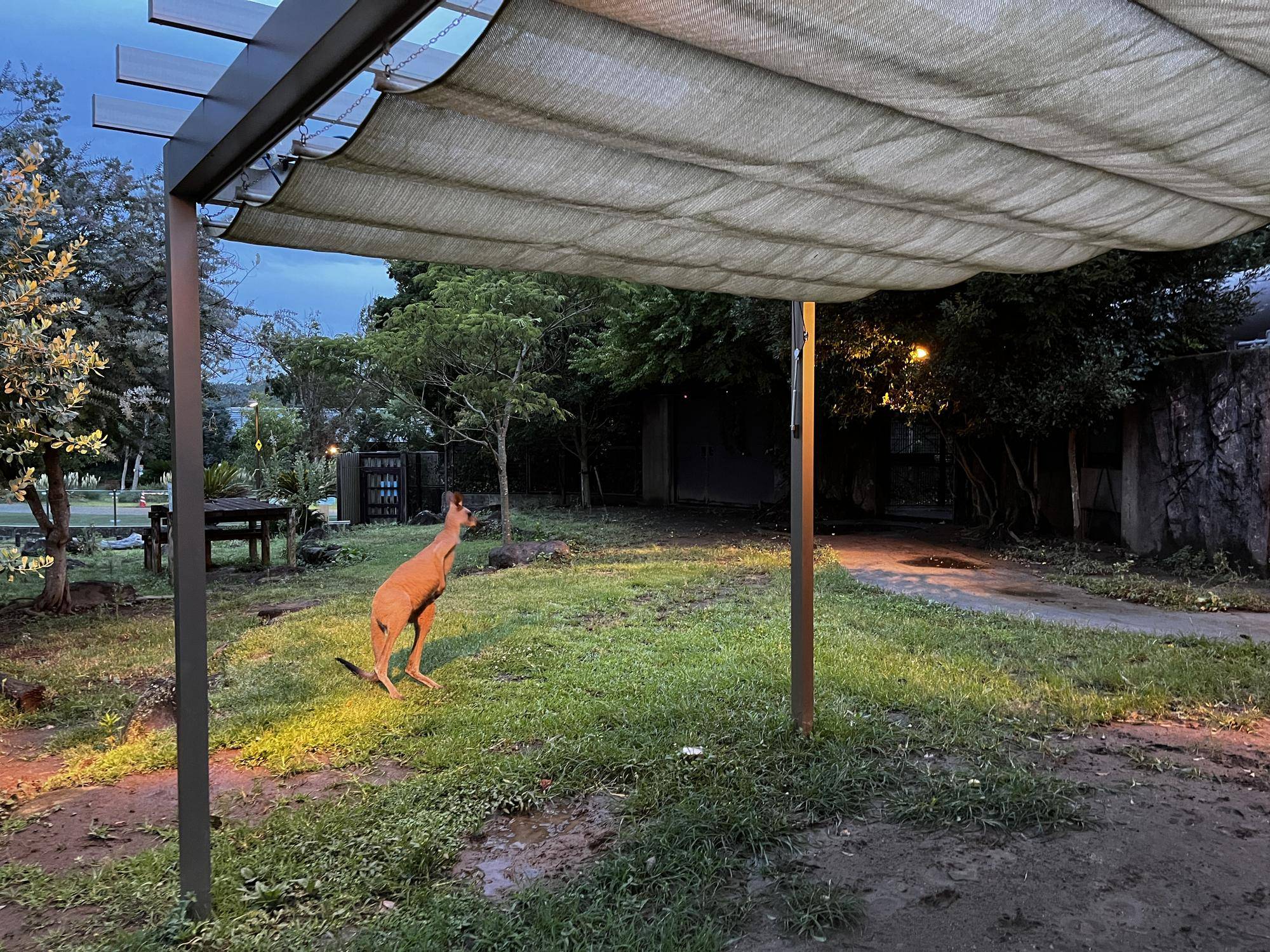 ルトル展示初日 (4).jpg