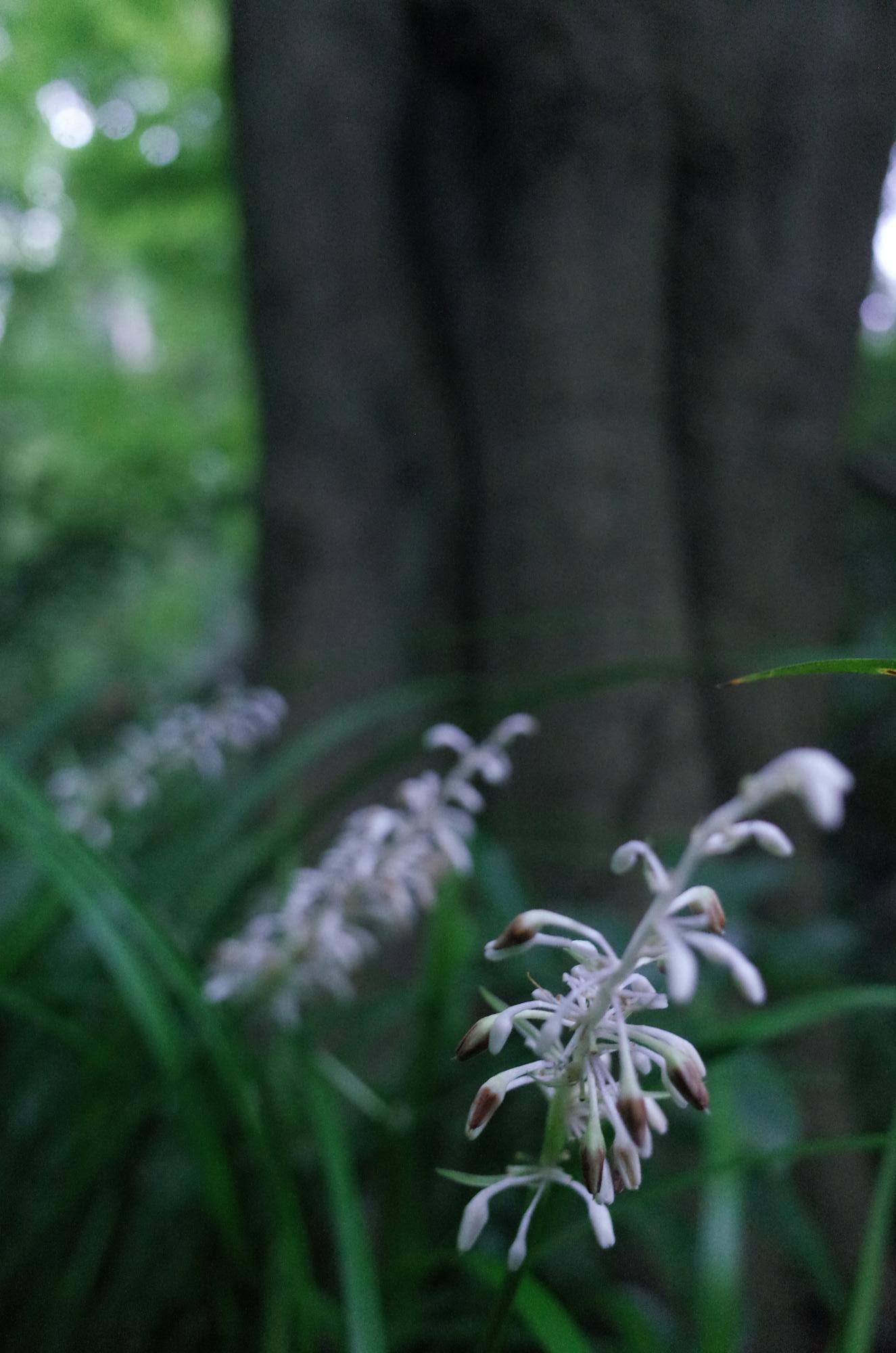 写真05 - コピー.jpg