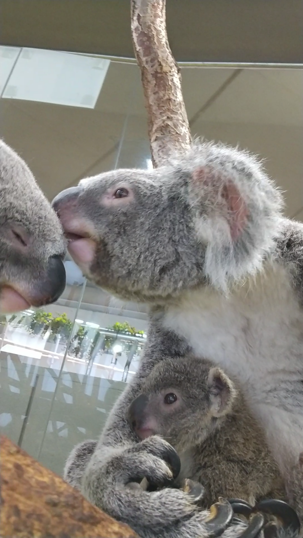 Screenshot_20220718-171917 (002).png