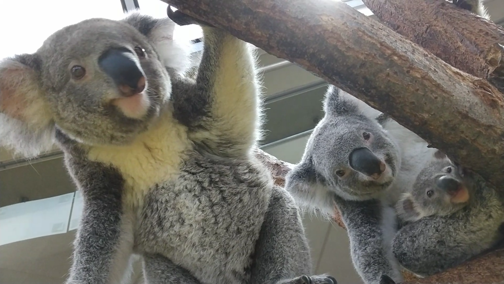 Screenshot_20220718-172149 (002).png