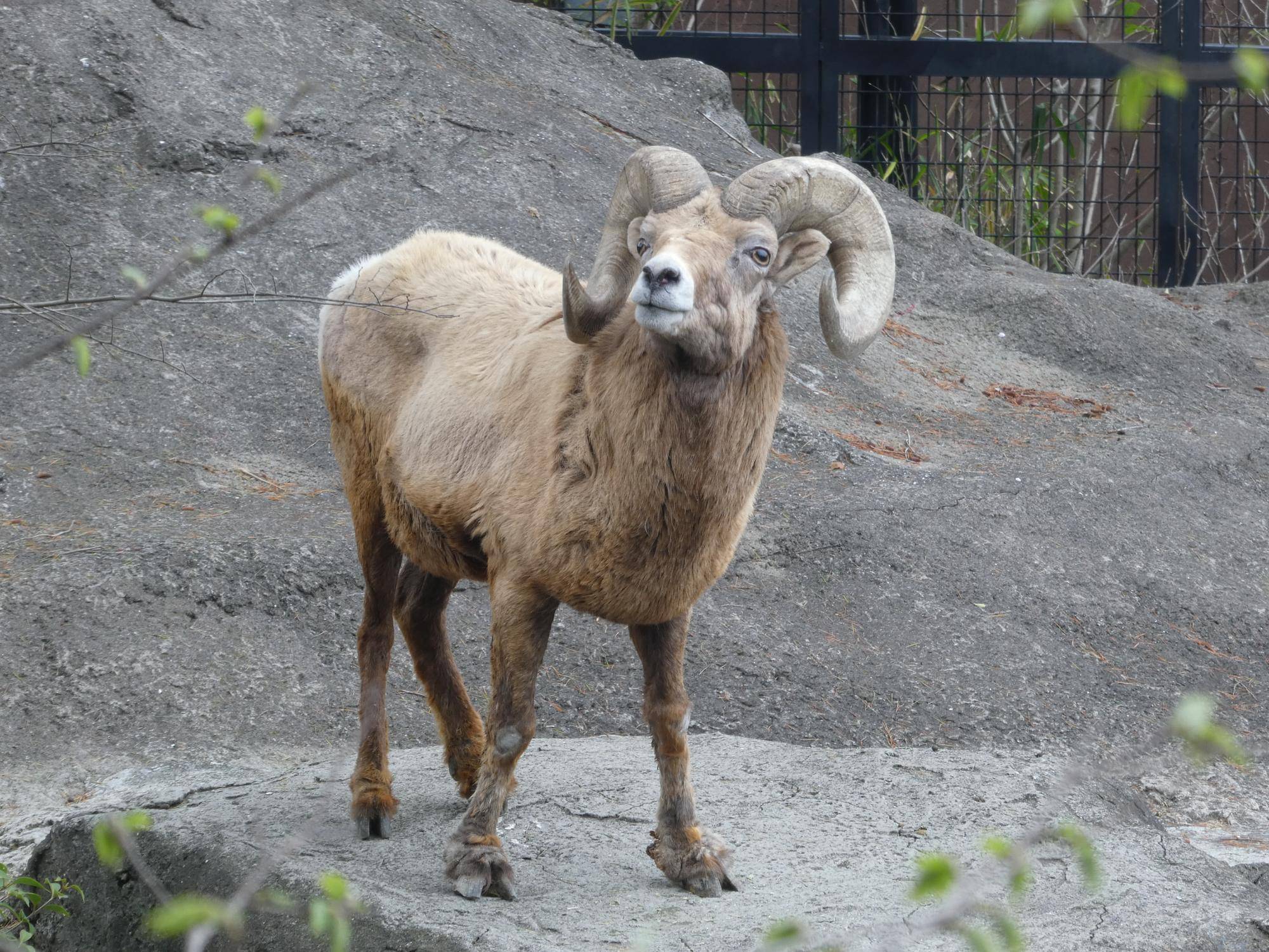 12 ヨッちゃんありがとう.jpg