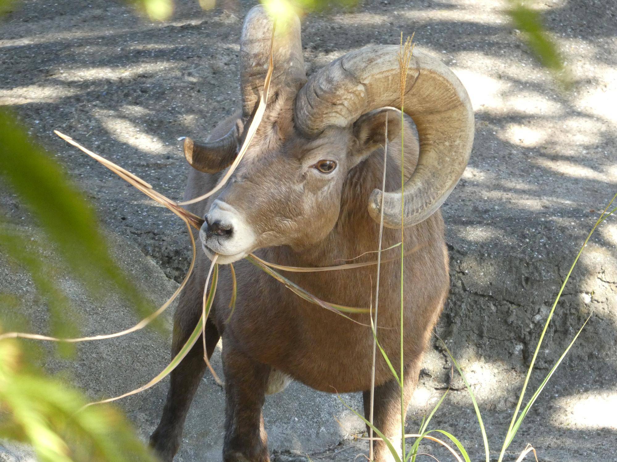 9 新展示場で生活2.jpg