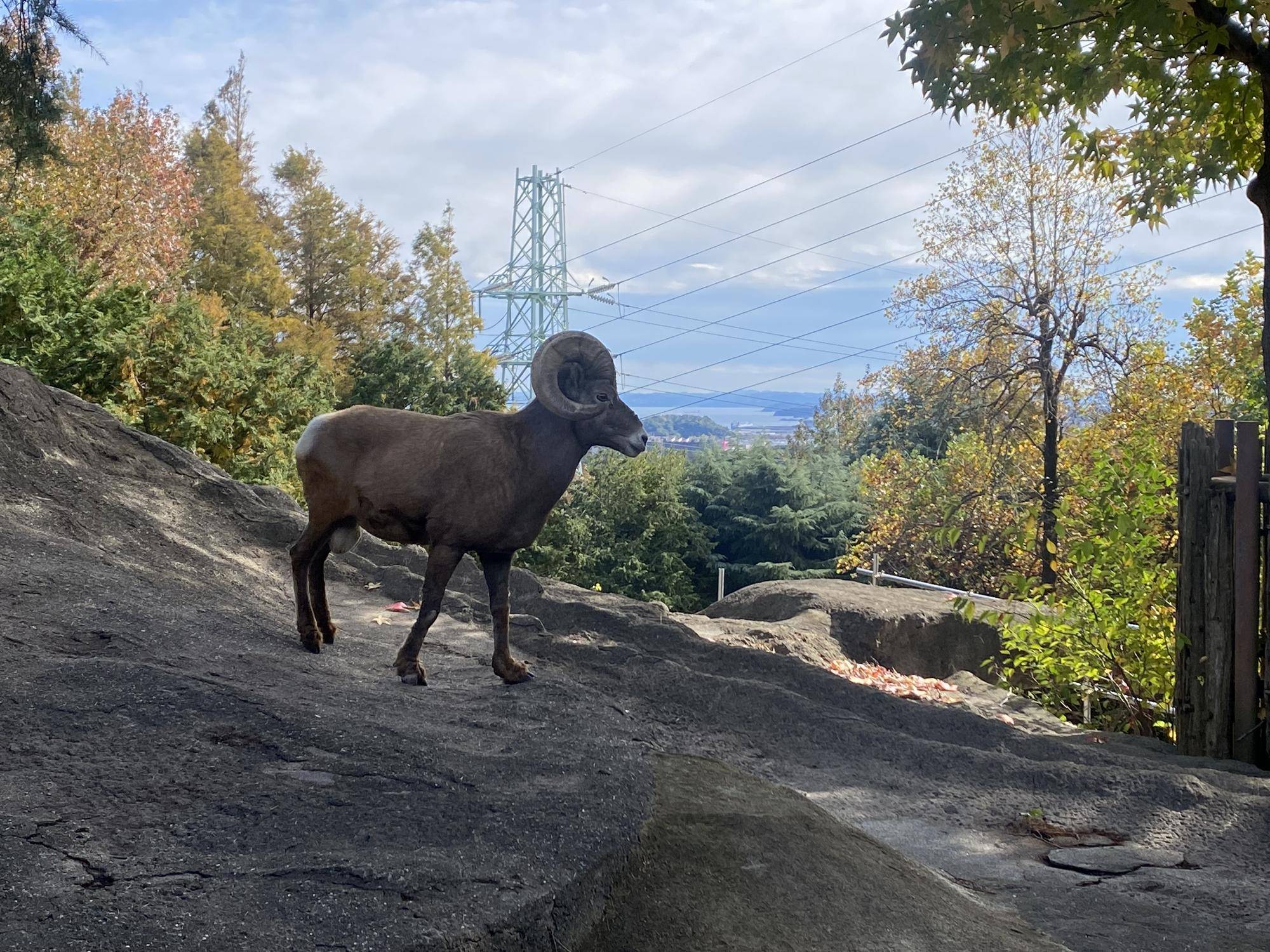 8 新展示場で生活1.jpg