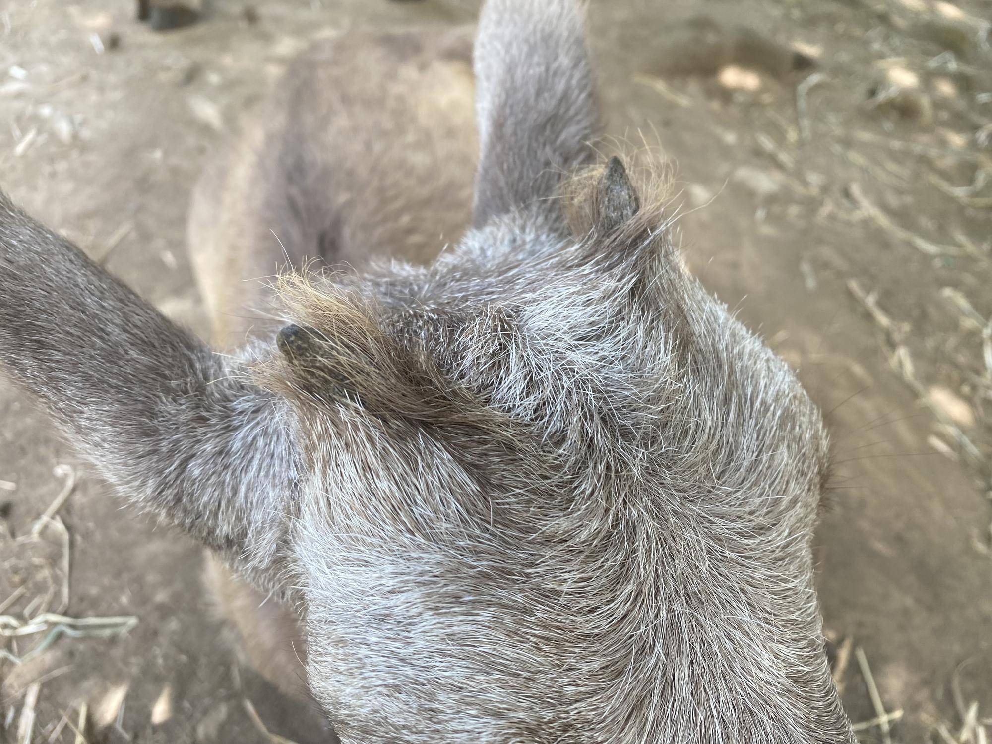 6 8月の角ドアップ.jpg