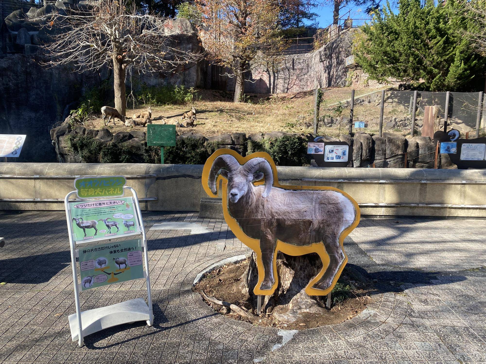 1 旧等身大パネル.jpg