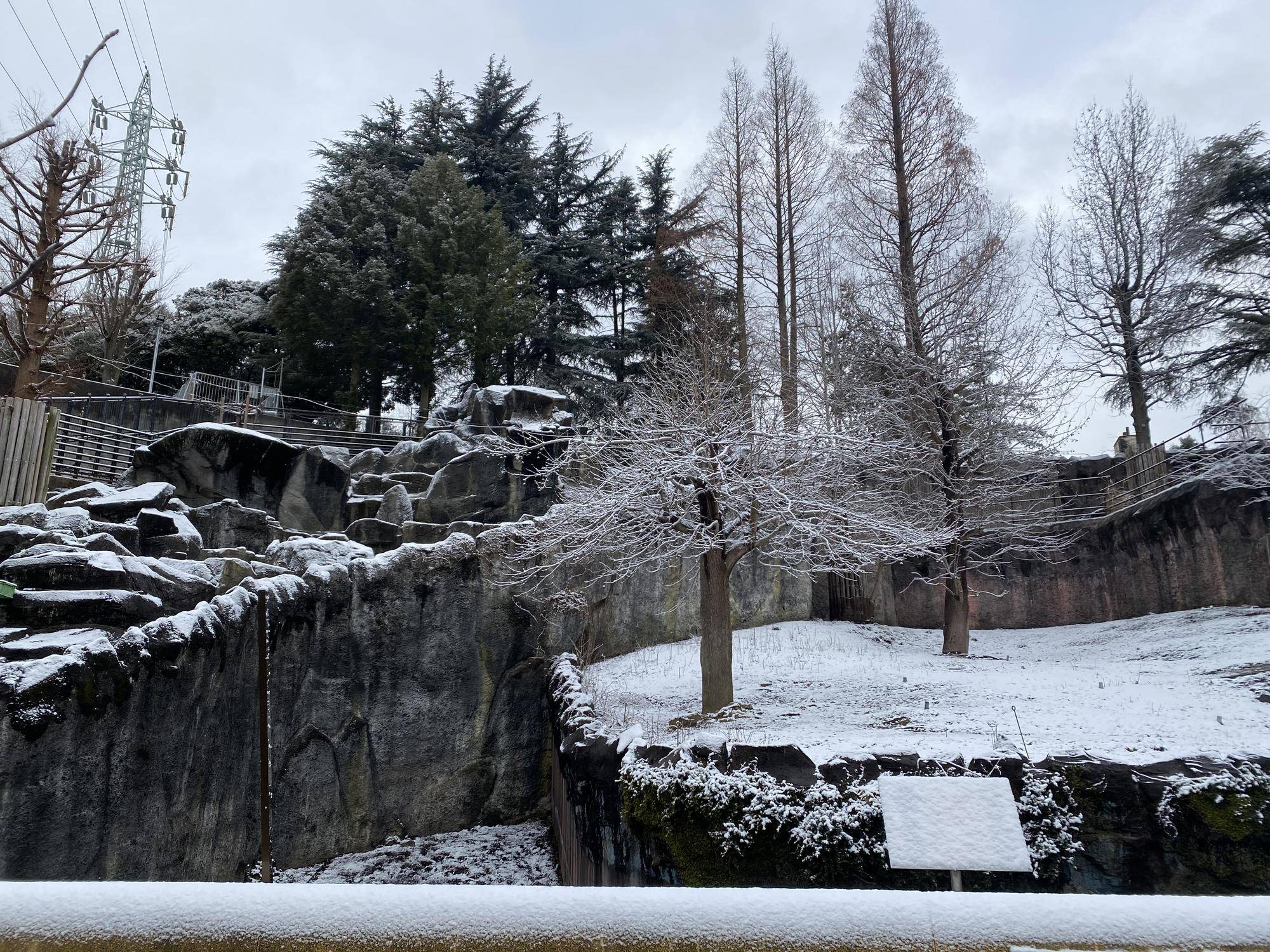 1 一面雪の展示場.jpg