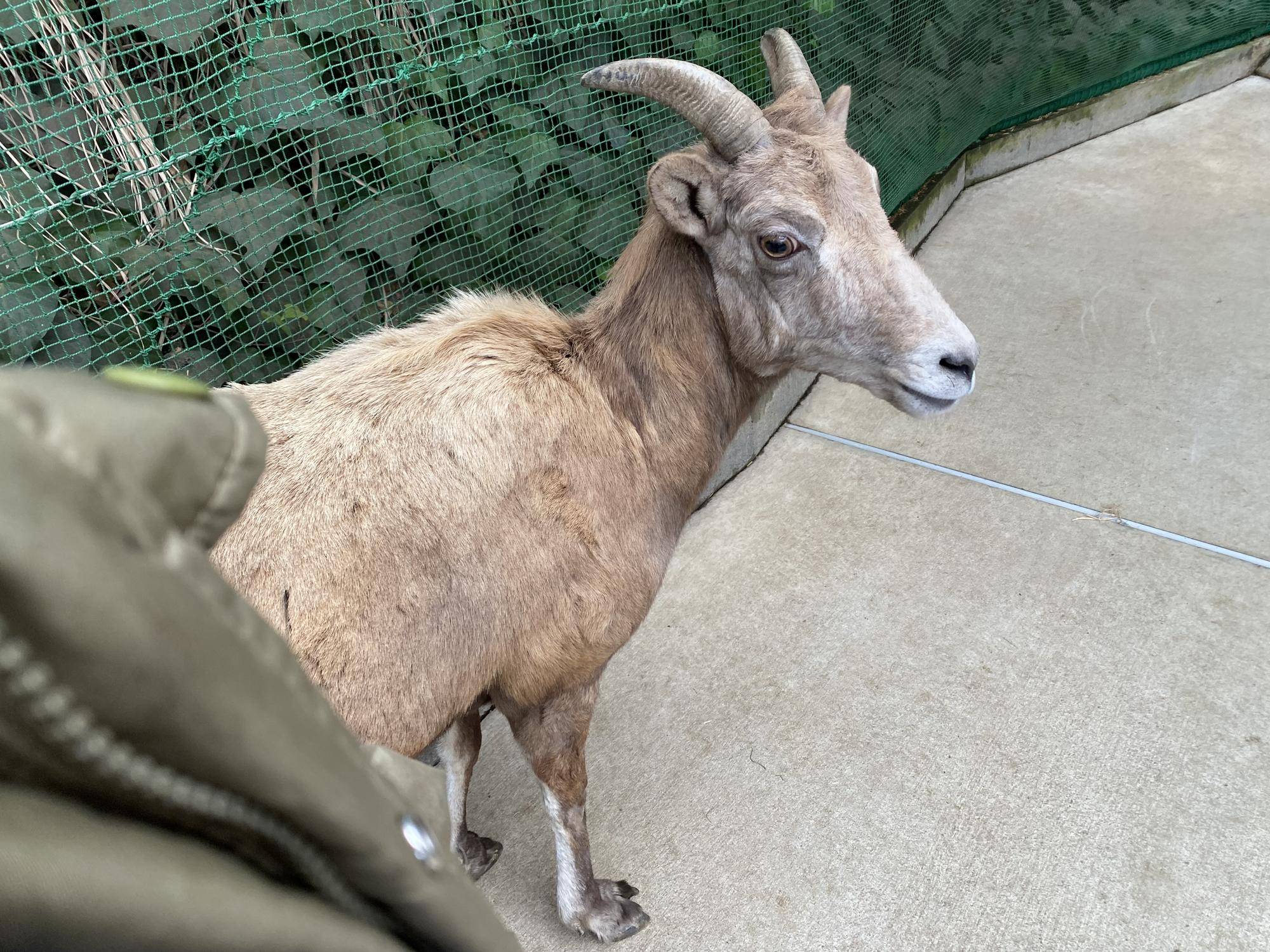 3 うしろに隠れるソラ.jpg