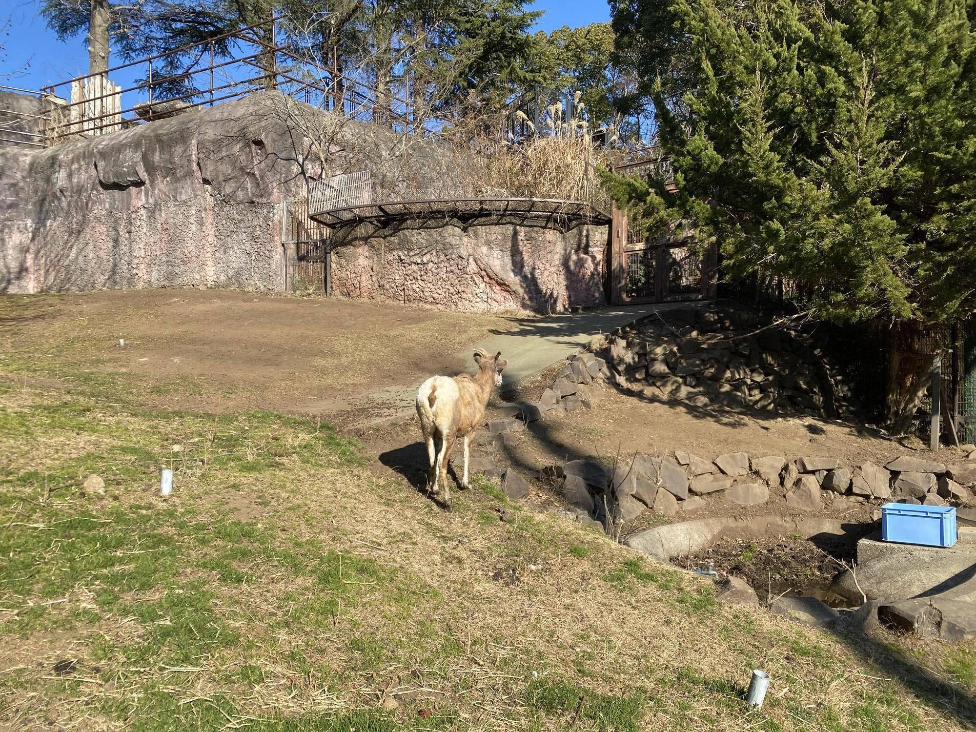 5 展示場に先にいるソラ.jpg