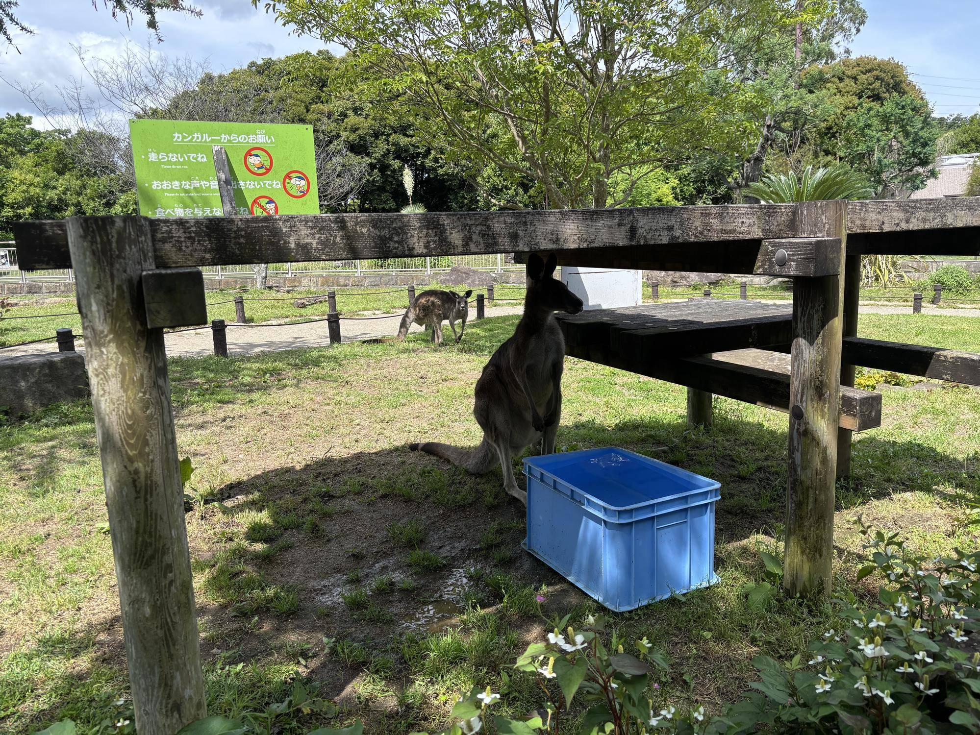 日陰に水飲み場設置.jpeg