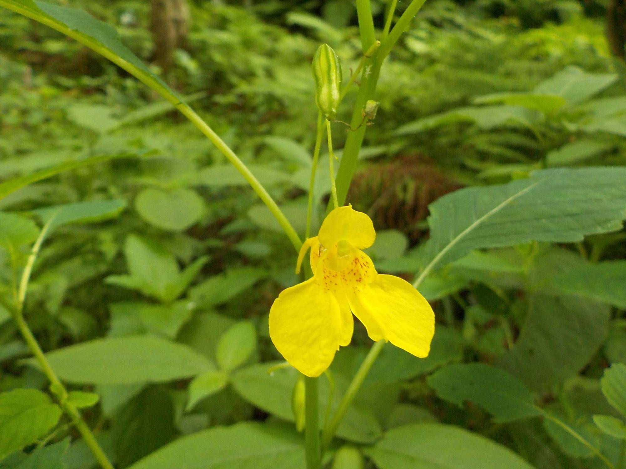 DSCN2770.jpg