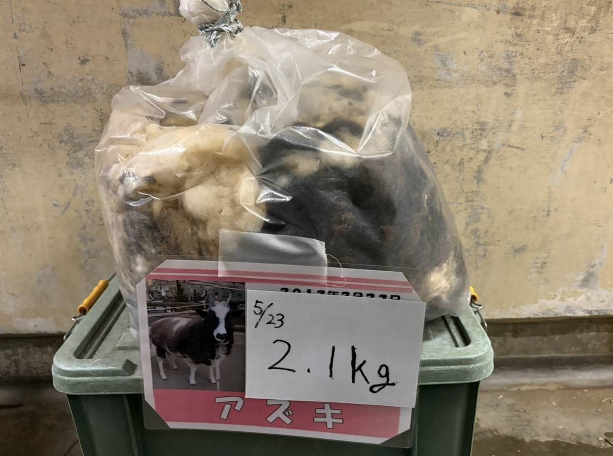アズキの毛2.1㎏.jpg