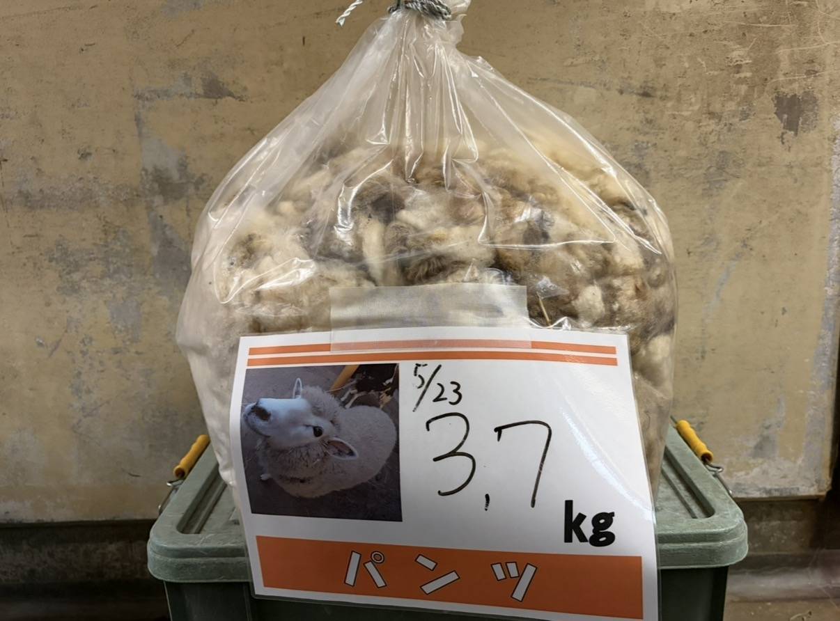 パンツの毛3.7㎏.jpg