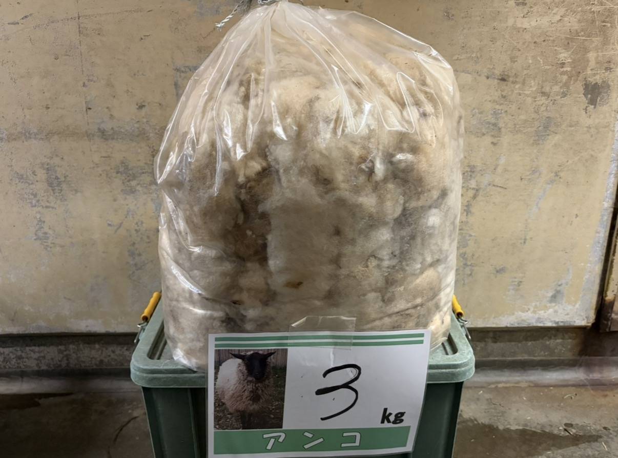 アンコの毛3㎏.jpg
