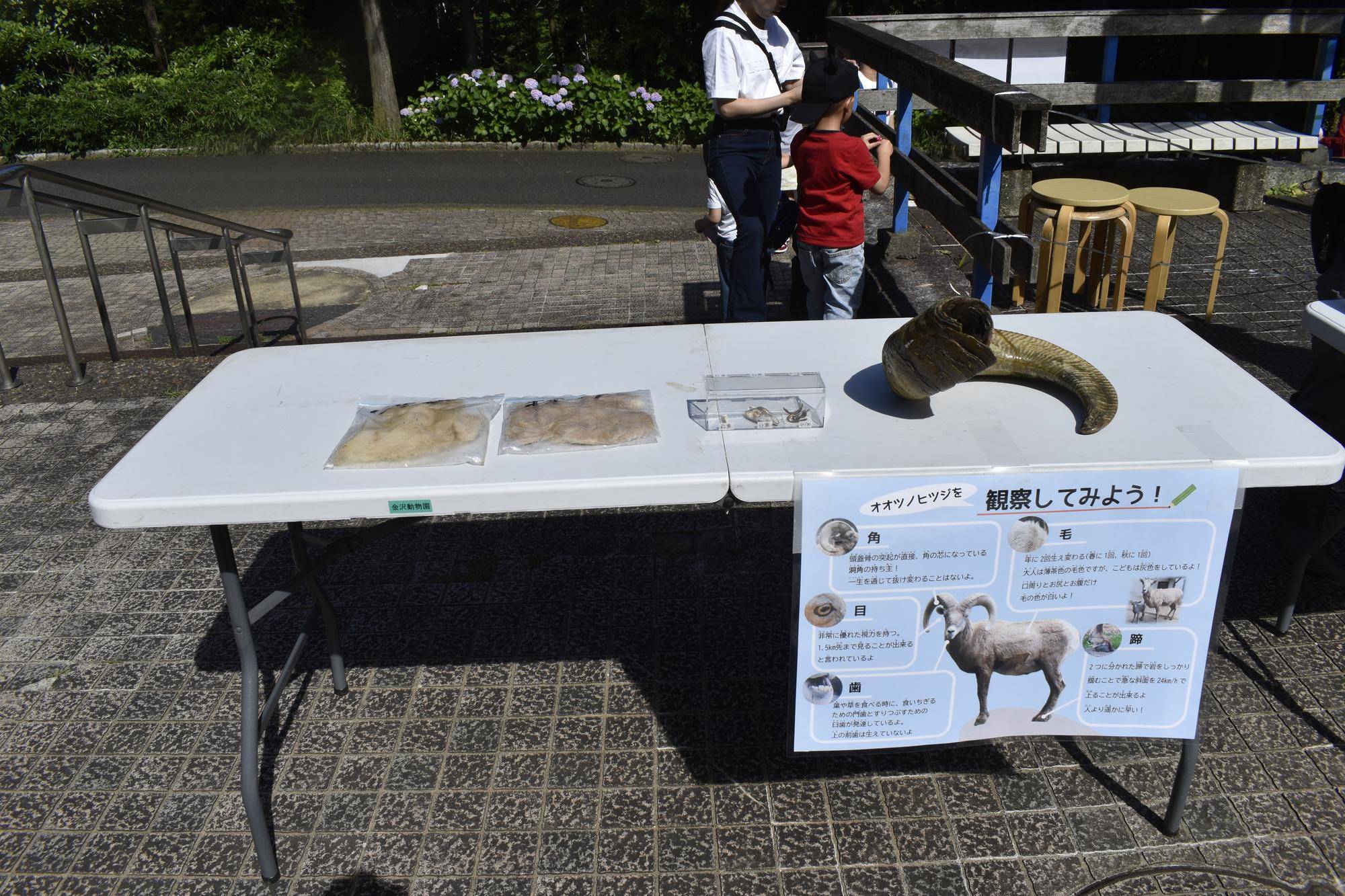 6 派生物展示.jpg