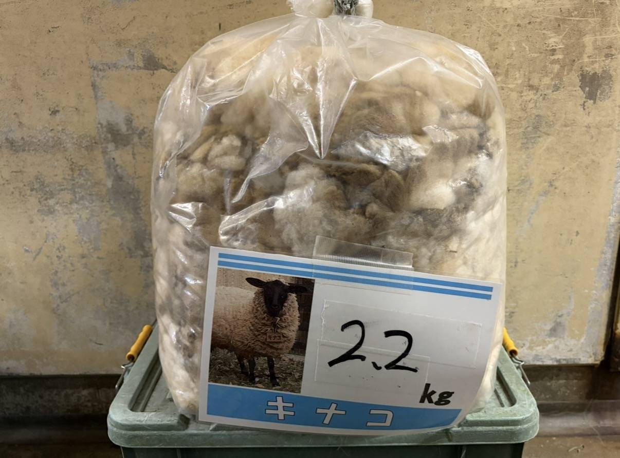 キナコの毛2.2㎏.jpg