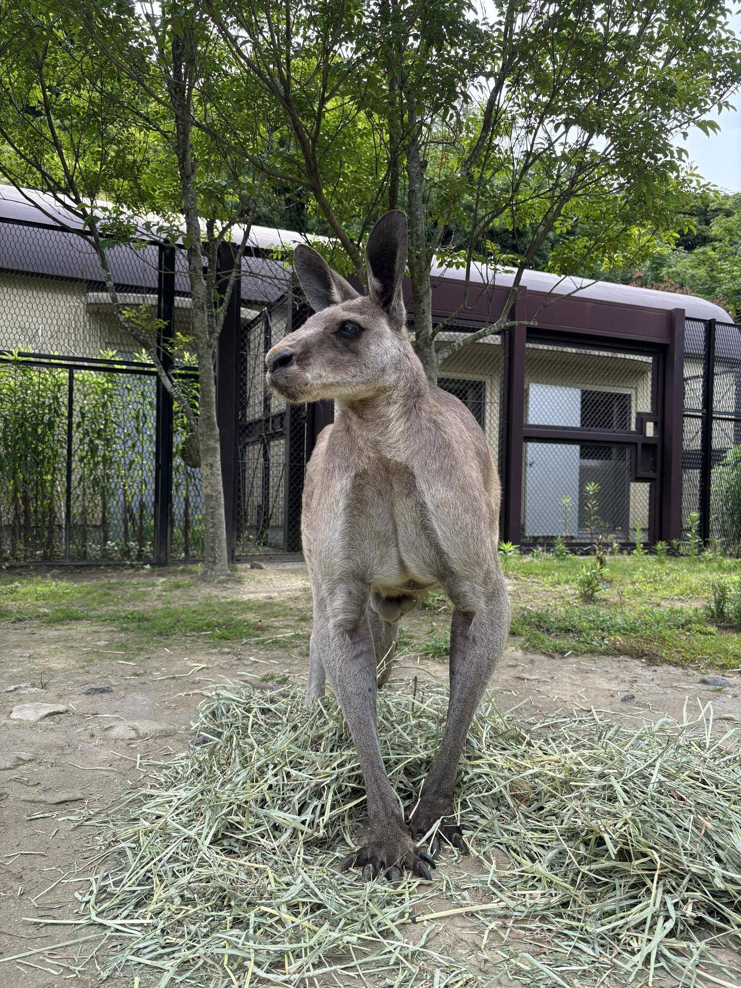 イクラ1枚目.jpg