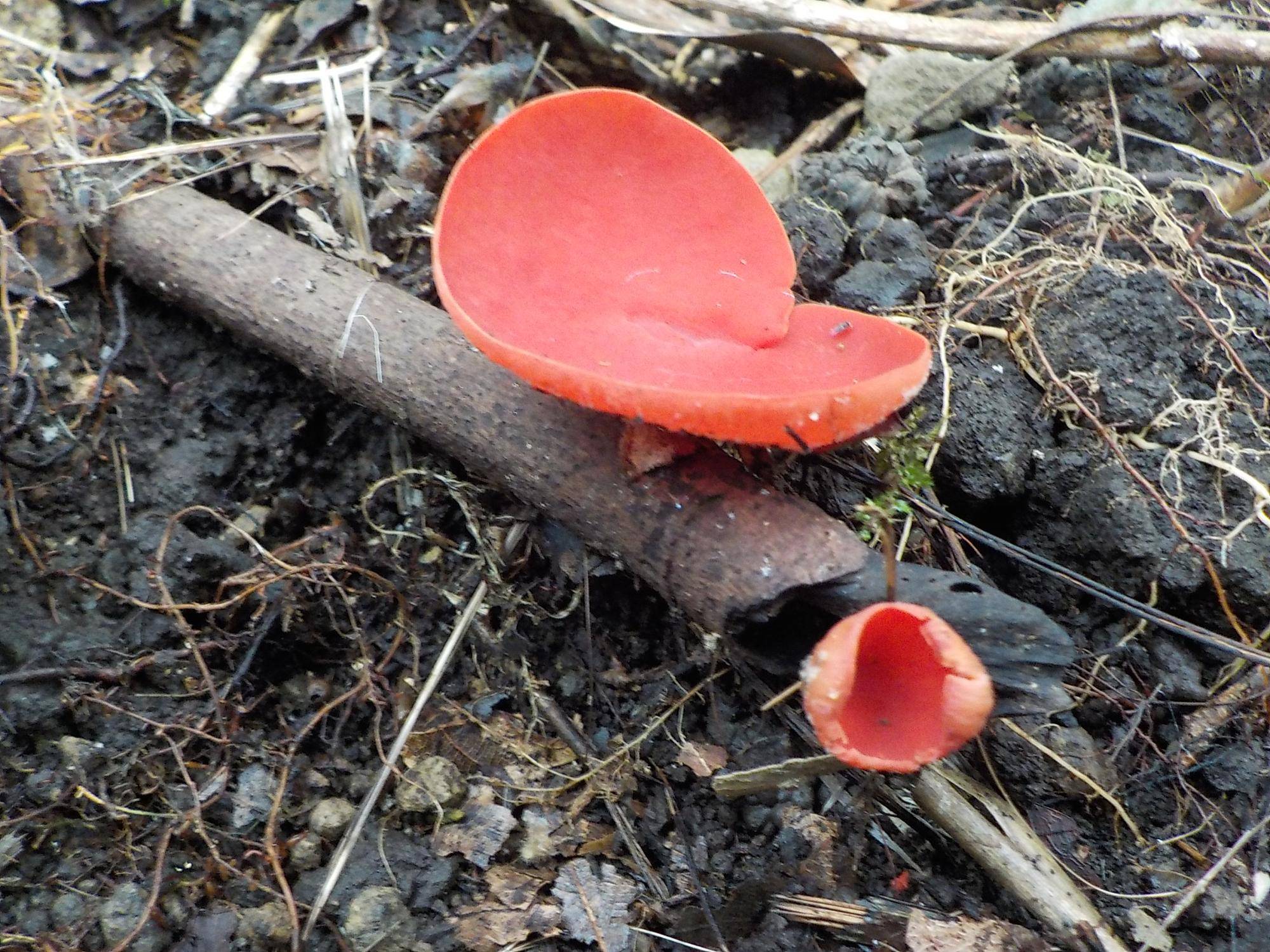 DSCN3260.jpg