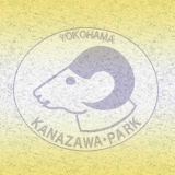 祝20㎏！の画像