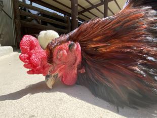 ぽかぽか・・・