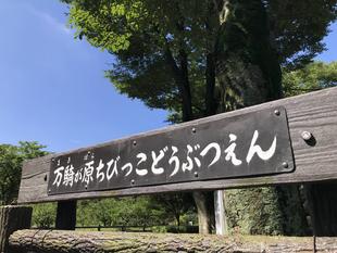 始めました！！