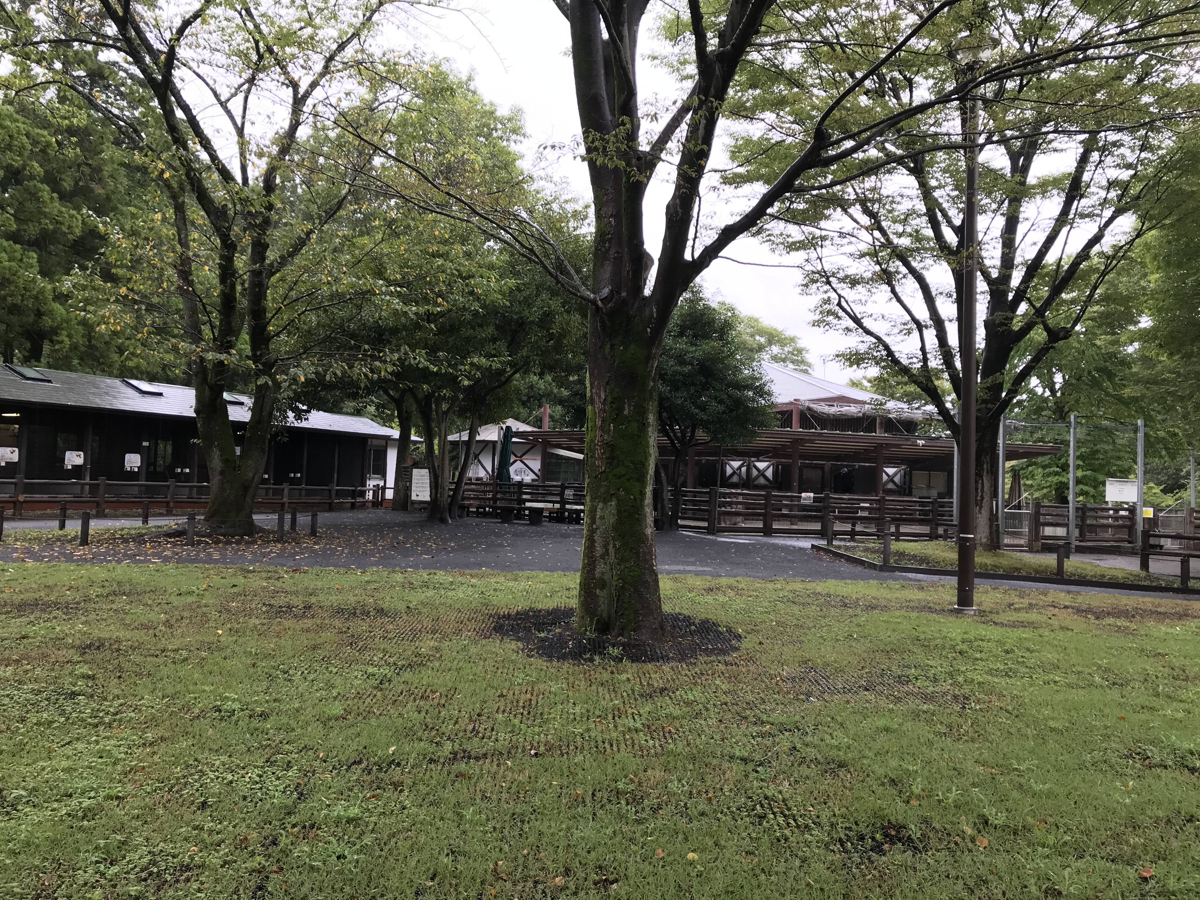 雨にも負けずの写真