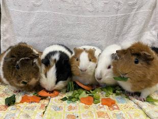 ちいさなパーティー　～1月編～