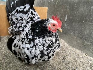 ただいま　温め中