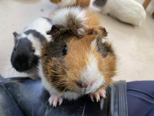 もう慣れたかな？