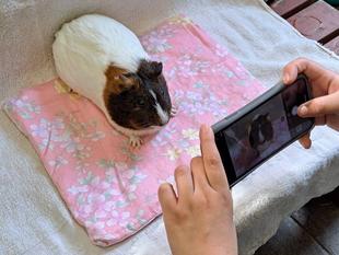 開店！スタジオまきもる